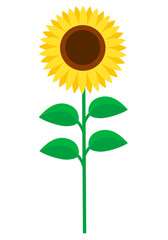 ひまわりの花のアイコンイラスト茎あり
