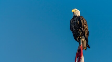 Eagle With American Flag Flies In Freedom