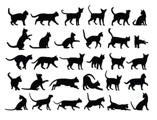 The big set of silhouettes domestic cats.
