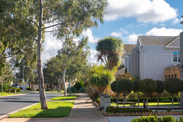 Naklejka premium A pedestrian walkway in a beautiful Australian suburban neighborhood with street trees, front yard gardens, and modern residential houses.