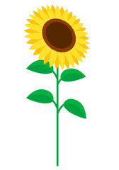 ひまわりの花のアイコンイラスト茎あり斜め
