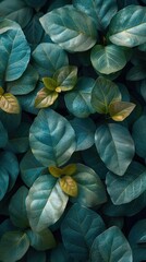 Light vegetable vertical background from honeysuckle leaves, Turquoise mobile phone wallpaper from tree foliage ,Abstract nature plant backdrop  ,Beautiful plants pattern, Leaf texture