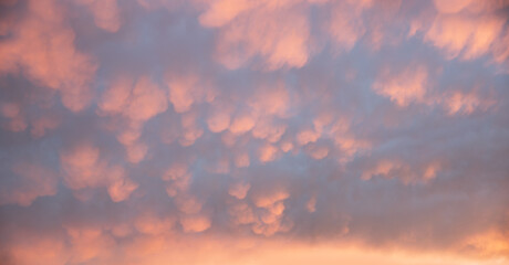 Weather phenomenon with bag-shaped mammatus clouds. sky background at sunset