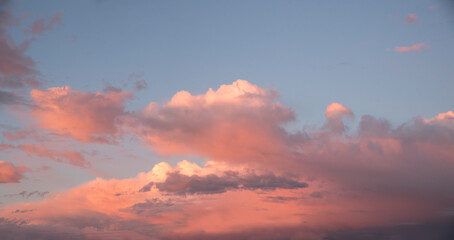 panorama sunset sky, pink cumulus clouds in the lower half. blue sky above