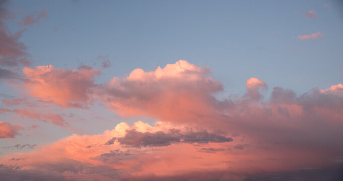 panorama sunset sky, pink cumulus clouds in the lower half. blue sky above