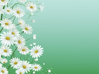 white daisies on green background