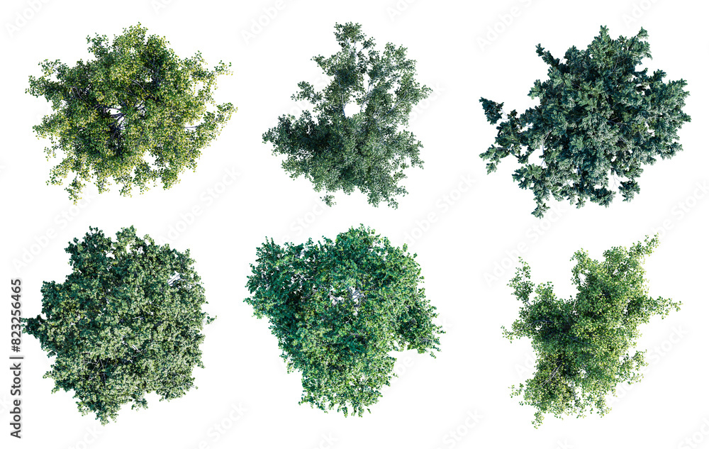 Poster deciduous trees top view collection isolated on transparent background. 3d render.