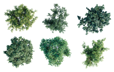 Deciduous trees top view collection isolated on transparent background. 3D render.