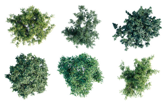 Deciduous trees top view collection isolated on transparent background. 3D render.