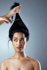 Haircare, woman and haircut for growth, change and wellness isolated in studio. Female person or...