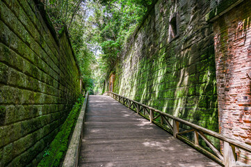 東京湾にある無人島の猿島