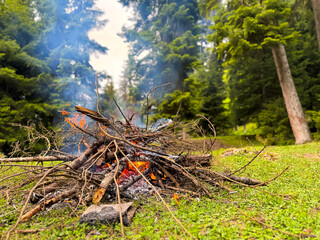 Burning bonfire made of branches and sticks with rising smoke in forest clearing surrounded by pine trees. Natural outdoor scene for camping and adventure. Hiking trip or overnight stays in forest.