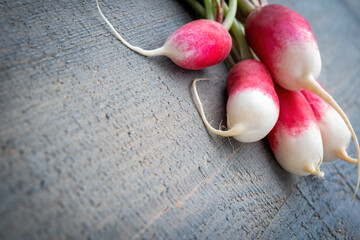 Fresh organic farm young radishes on a gray textured background. Lots of space for text. Poster.