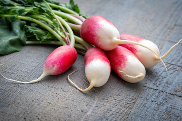 A bunch of fresh rustic, farm radishes on a gray wooden background.