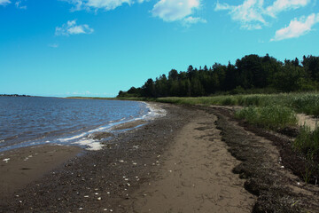 Rocky shore of Shediac Island, New Brunswick, Canada