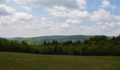 Lush green field in Caledonia Gorge, New Brunswick with distant hills and a blue cloudy sky