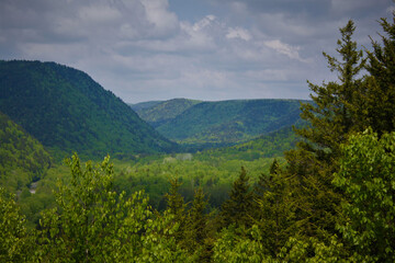 Obraz premium Lush green field in Caledonia Gorge, New Brunswick with distant hills and a blue cloudy sky