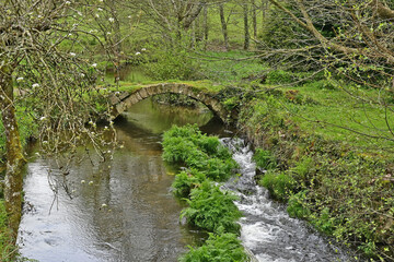 Il Ponte romano di Ferreira sul cammino Primitivo di Santiago di Compostela - Guntín. Lugo. Galicia - Spagna