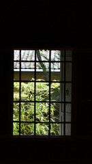 Window with plants and greenery in the background