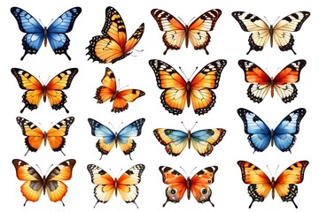 Set of butterflies, isolated illustration on a white background