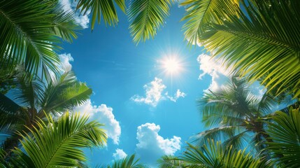 Fototapeta na wymiar sun tropical summer background illustration sand ocean, paradise vacation, surf coconut sun tropical summer background