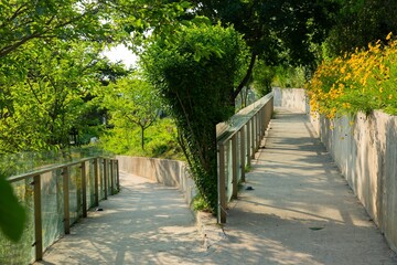 Scenic pathway in Dalian, China, surrounded by lush foliage