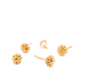 Dried field daisies on a white surface