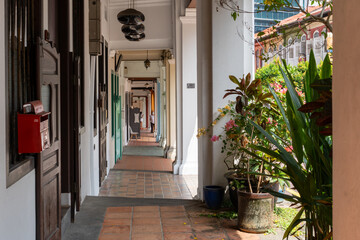 an outside hallway with a lot of plants and flowers on it