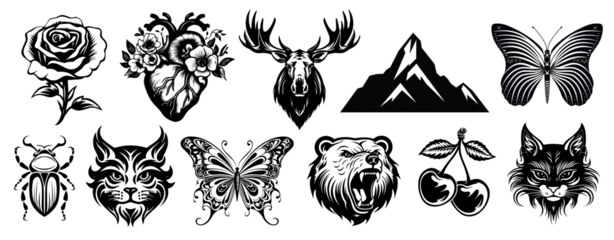 old school illustration png on transparent background