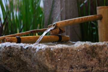 Water flows from a bamboo tube.