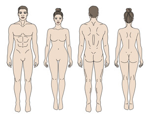 Man and Woman body front and back view vector illustration. Isolated outline line contour template human body different gender without clothes. Anatomy of healthy male and female body shapes. Figure