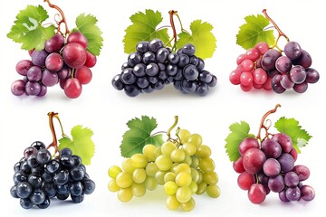collection of grapes