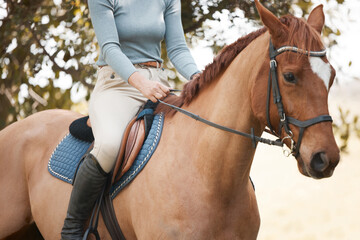 Woman, nature and horse for equestrian sport on ranch, stallion and riding hobby in agriculture....
