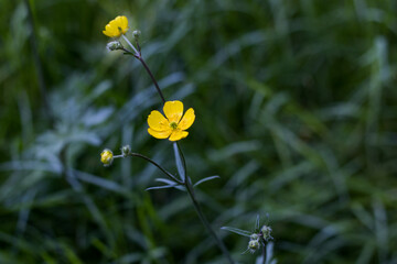 nature 10