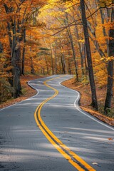 Fototapeta premium Exploring winding roads through a forest in autumn, vibrant foliage, dappled sunlight, picturesque road trip
