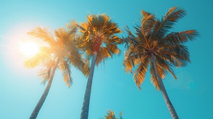 tropical paradise, relax and escape with the perfect tropical vacation vibe, palm trees swaying in the breeze under a clear blue sky