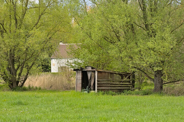 Shed in a fresh green meadow in the Flemish countryside.