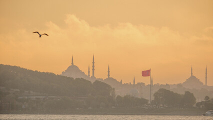 Naklejka premium Sunset at Istanbul silhouette with mosque and Turkish flag background. Selective focus. Open space area.