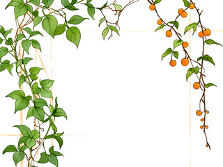 Frame of leaves. A close-up photo of a green vine with lush leaves and small orange fruits on a white background