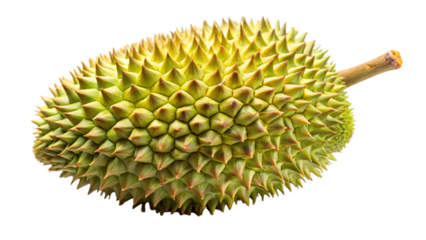 A round green durian fruit with spikes, isolated on a white background