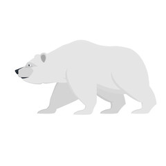Polar bear. Animal bear, vector illustration