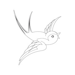 illustration of a bird