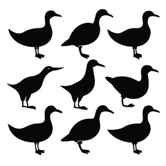 Set of albatross birds animal Silhouette Vector on a white background