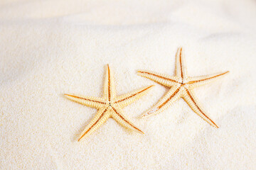 Two orange starfish with sand waves on white beach. Vacations, relaxation, travel to hot countries. Copy space