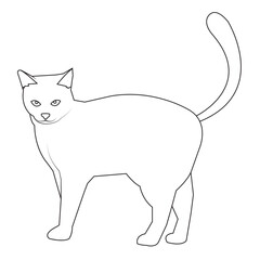 cat outline, cat silhouette, flat vector illustration.