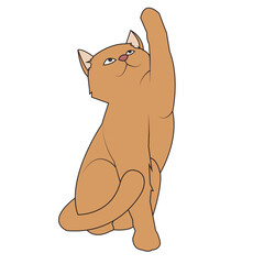 orenge cat, flat vector illustration.