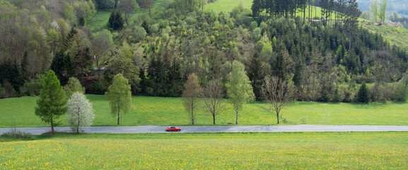 red car on road in spring valley near winterberg in german sauerland