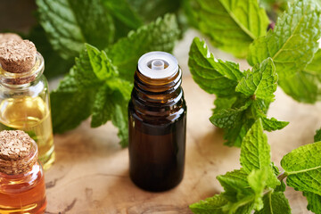 A dark bottle of aromatherapy essential oil with fresh peppermint leaves