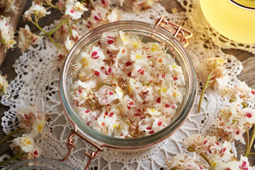 A glass jar filled with horse chestnut blossoms and alcohol, to make herbal tincture