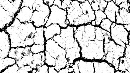 texture of the bark, two different vintage vector of cracked and dry land ground, cracked white paint on a white background, a black and white drawing of a cracked wall set, a black and white image of
